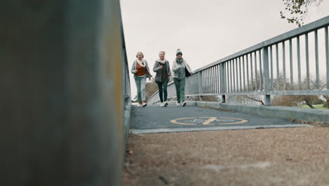 senior women group, bridge