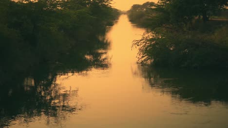 orange sky reflecting in a water canal covered with trees and foliage during sunset time in rural india