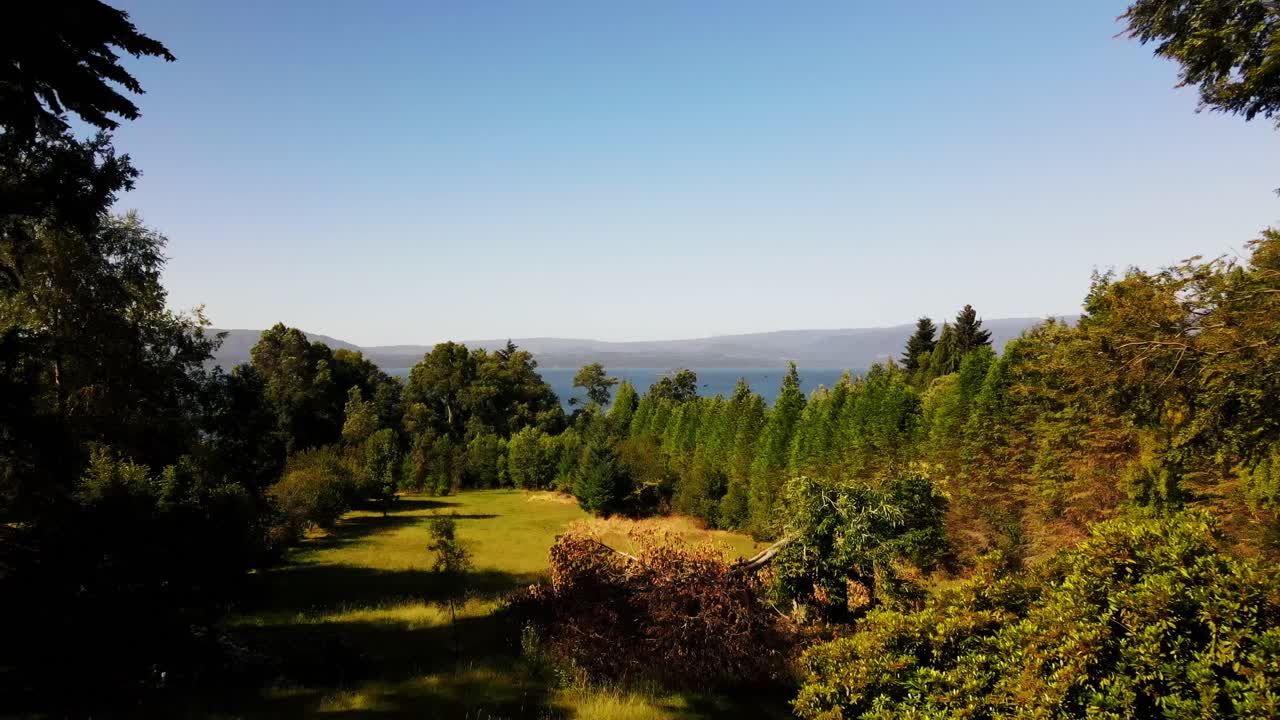 toma aérea del bosque en el lago villarica, chile