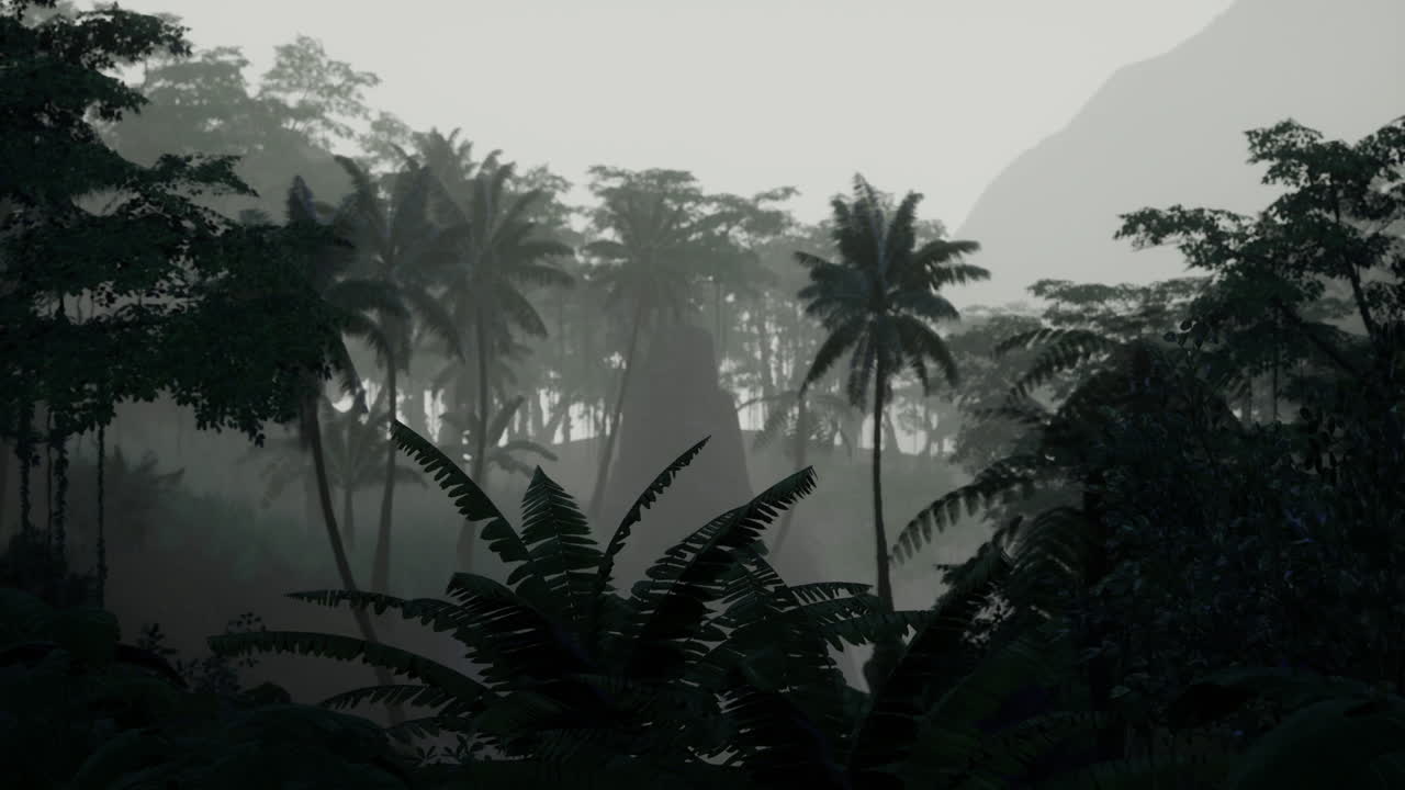 Lush tropical rainforest shrouded in mist during early morning hours