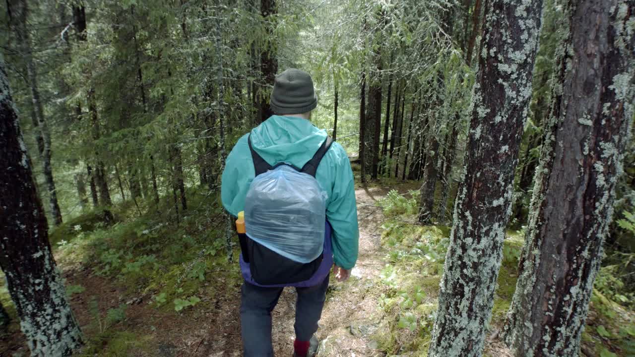 숲에서 산책하는 사람