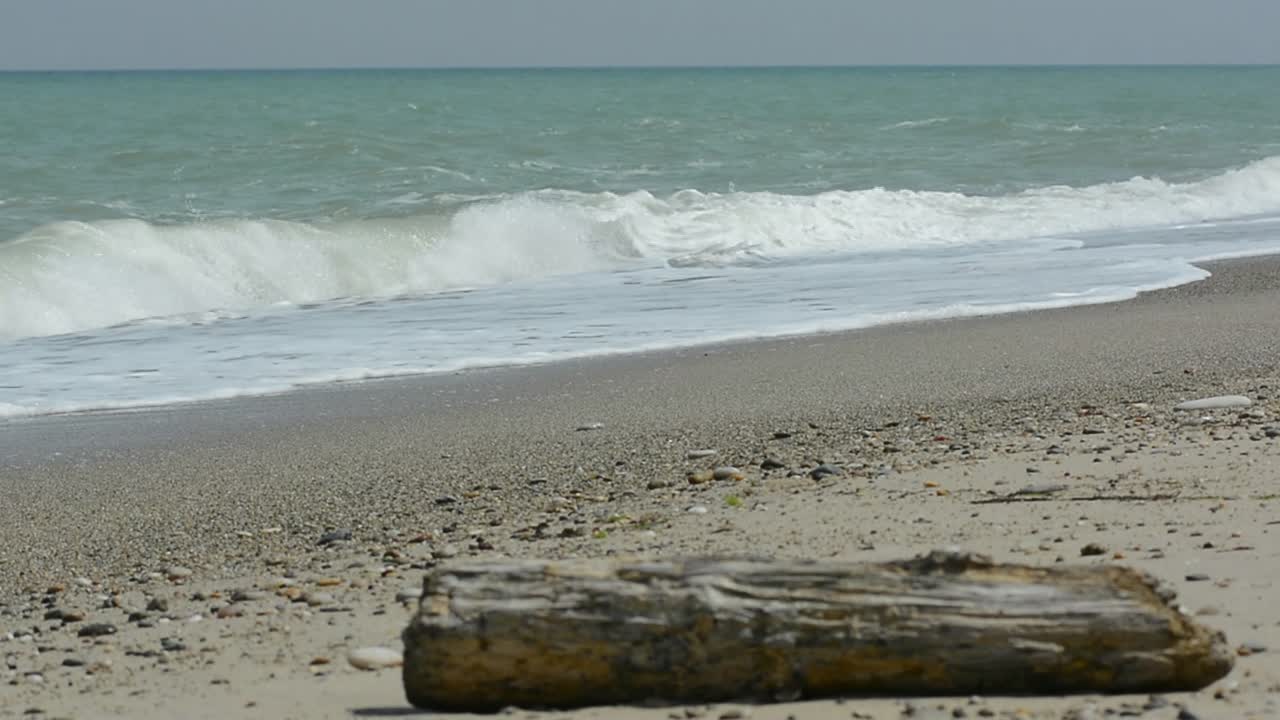 Ocean Waves Hits the Beach and a Log on Foreground