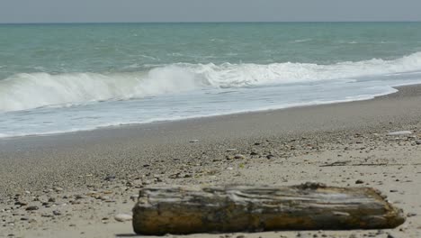 ocean waves hits the beach and a log on foreground