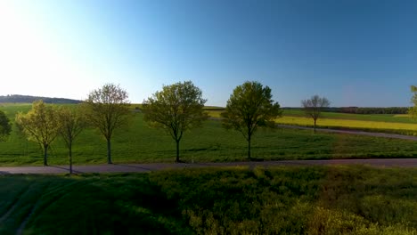 Drohnenflug-Weg-Von-Der-Baumgrenze-Bei-Sonnenuntergang-Mit-Lease-Flare