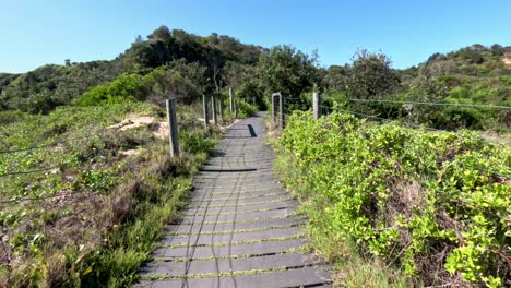 a serene walk along a coastal path