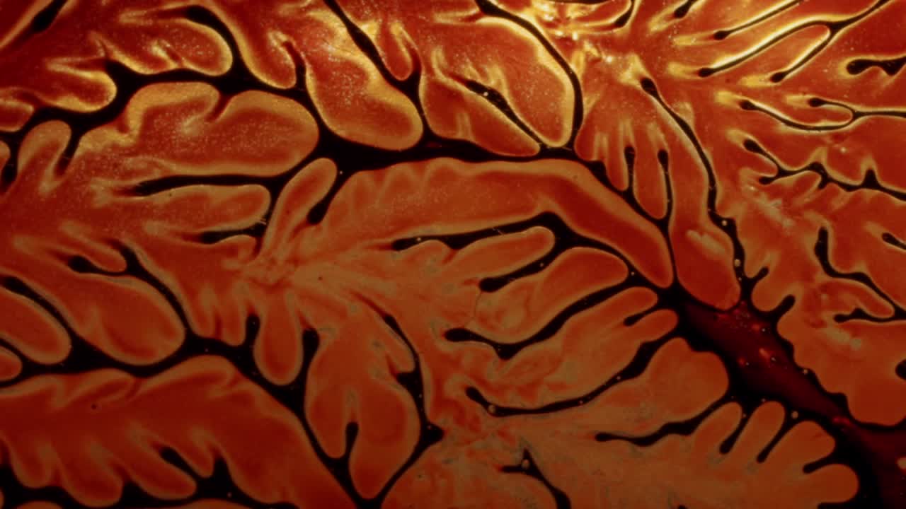 빨간색 표면에 혈관처럼 보이는 추상 형태를 형성하는 진한 빨간색 액체