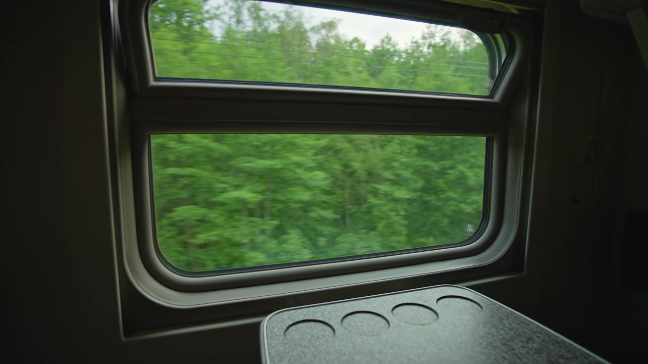 Vista dal finestrino del treno di una foresta verde che scorre