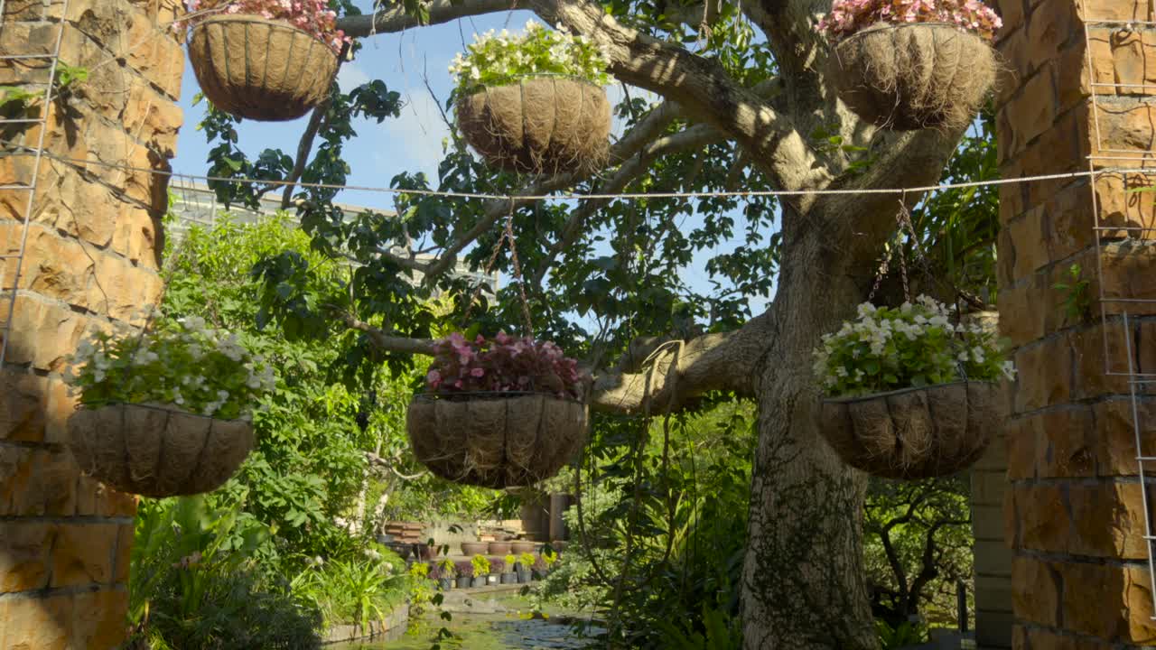 vista del estanque de loto japonés entre macetas y paredes de ladrillo en el centro de sueños tropicales de la prefectura de naha, okinawa, japón, verano caliente