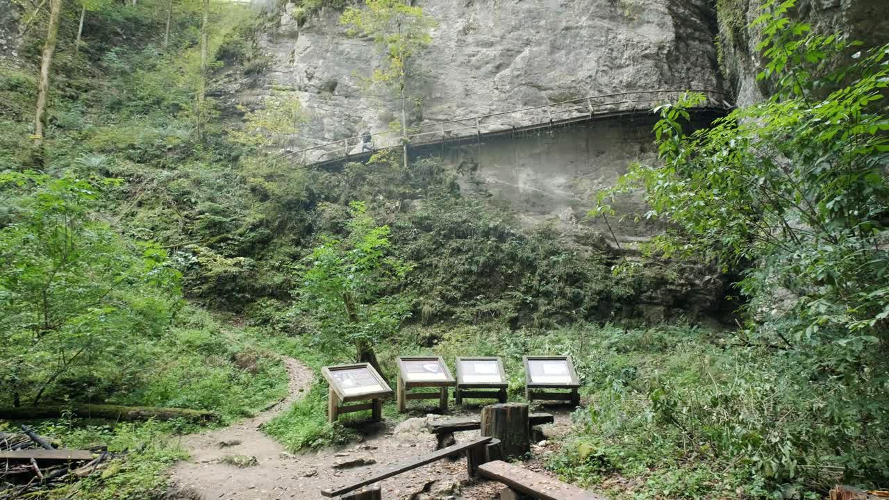 triglav 국립 공원에서 봄 동안 슬로베니아의 pokljuka 협곡을 걷는 남자