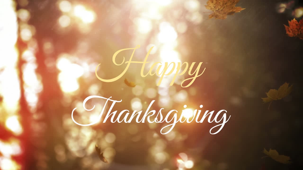 Animazione di testo "Happy Thanksgiving" su foglie che cadono sullo sfondo di alberi