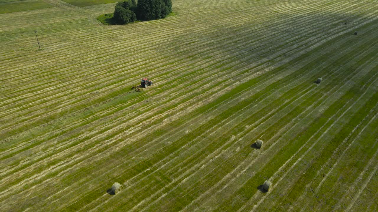 Aerial drone footage flying besides a red tractor that is collecting cut silage hay on a farm field behind it in a straight line so hay bales and rolls can be made. Sunny summer day and hay bales seen