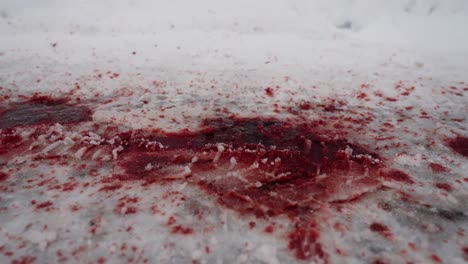 thick patch of blood stains snow on icy road after car accident