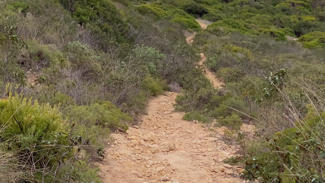 Sentiero sterrato che si snoda attraverso la vegetazione secca e verde di un sentiero escursionistico costiero, offrendo un viaggio panoramico all'aperto.