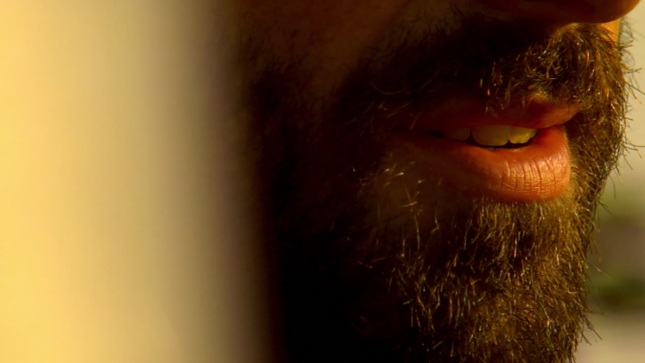 Close-up of a man's face with intense eyes and warm sunset light on his skin. beautiful caucasic european model with beard young male attractive