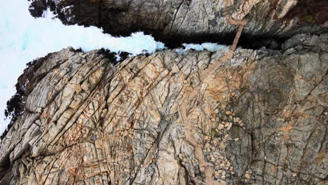 aerial - rocky cliffs in zapallar, valparaiso, chile, wide shot top down