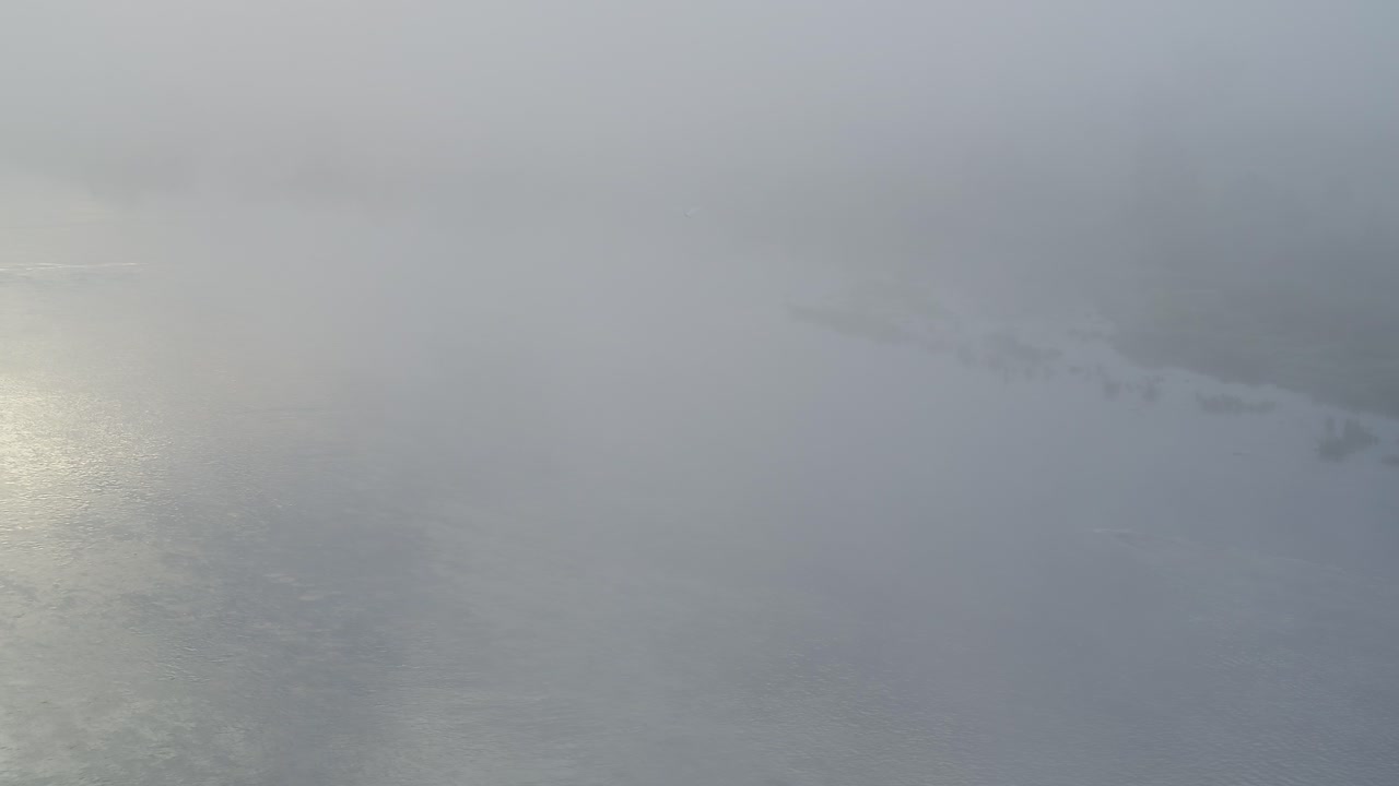 리투아니아 카우나스 카운티의 네리스 강 위로 날아가는 새