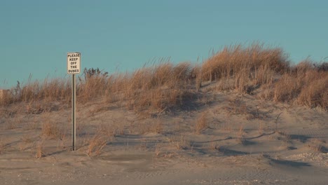 Schild-„Halten-Sie-Sich-Von-Dünen-Fern“-Mit-Goldenem-Gras-Vor-Blauem-Himmel