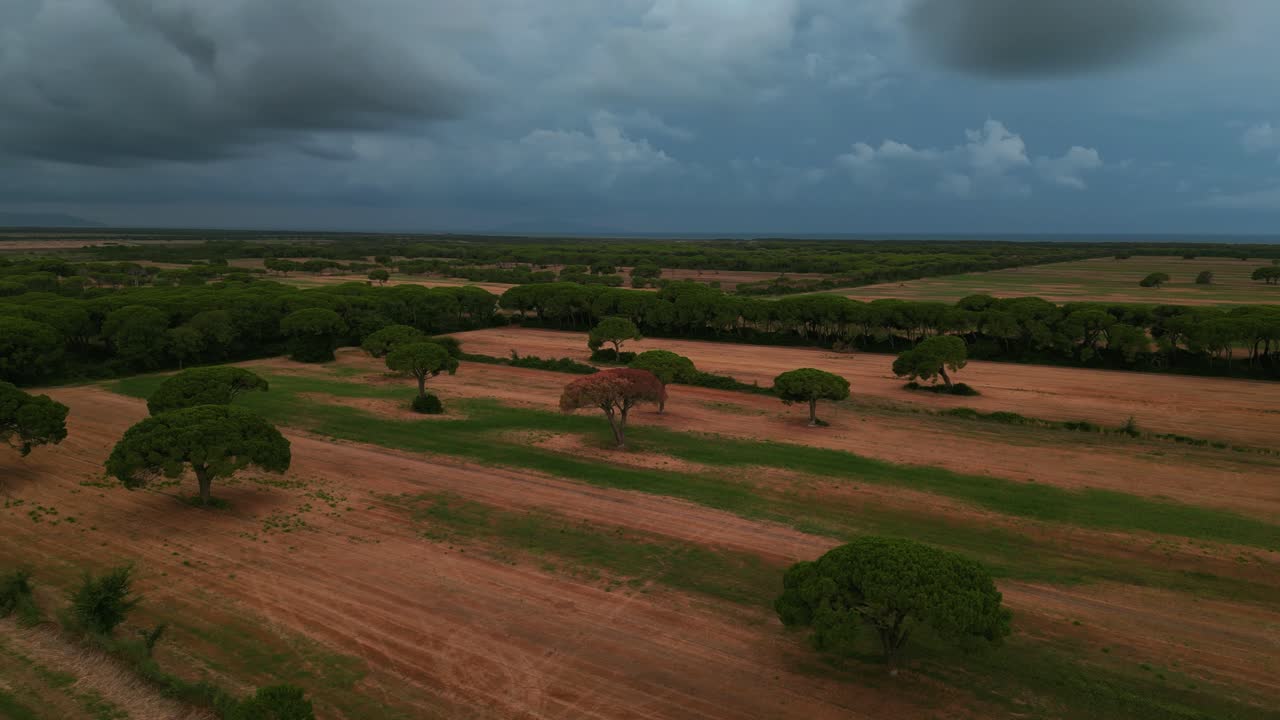 parque nacional maremma en toscana, italia-1