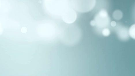 el fondo de bokeh.