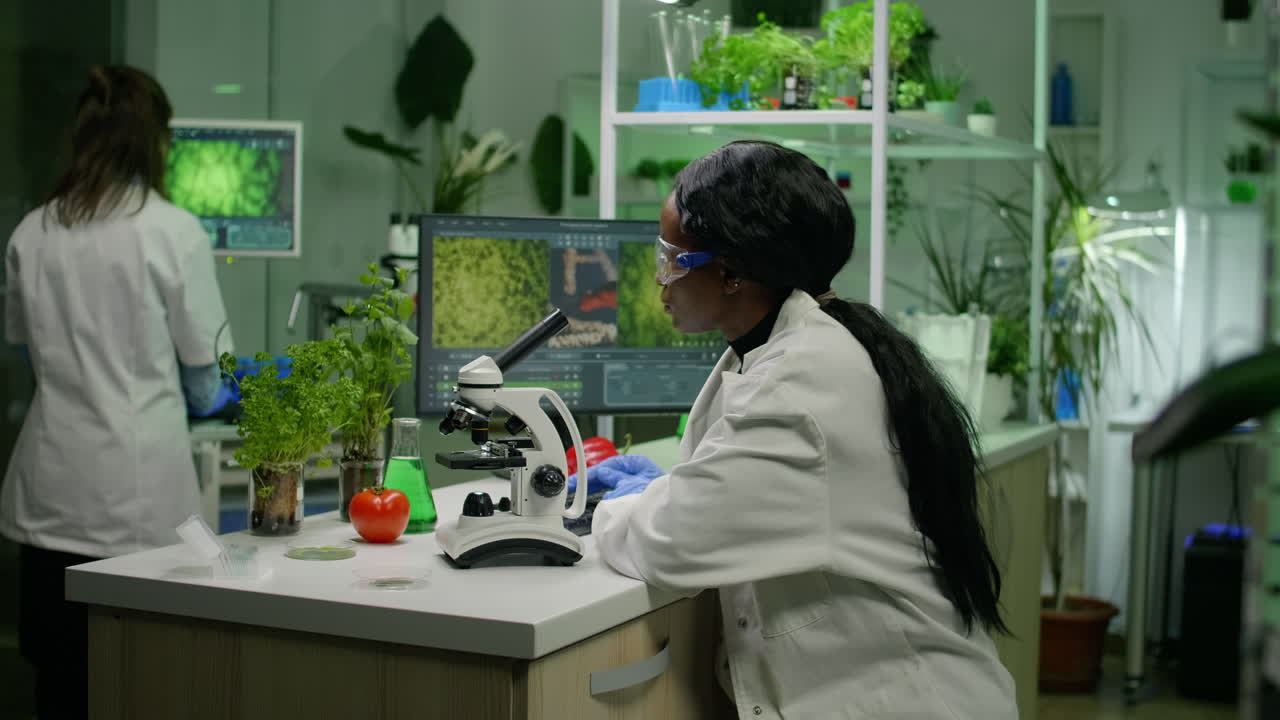 Biologist researcher examining organic leaf slide for medical expertise