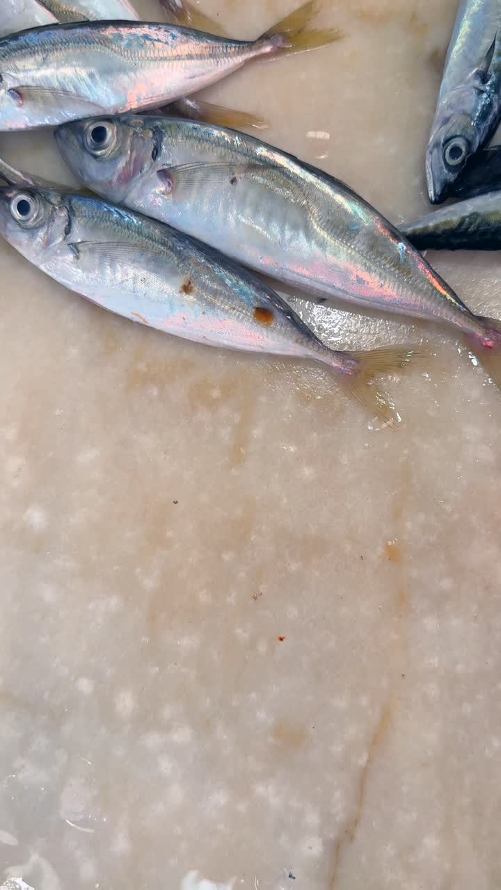 Close-up of Fresh Fish on a Wet Surface