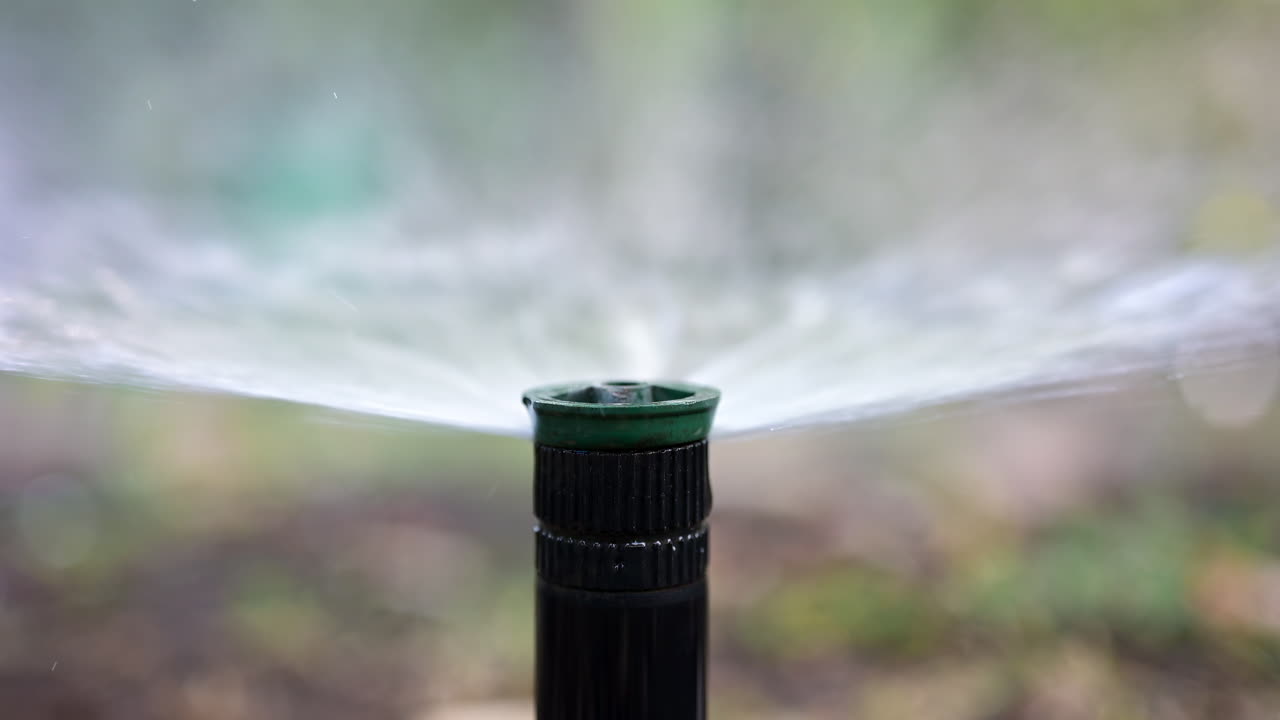 Primo piano di un irrigatore in azione, che spruzza acqua su erba e piante