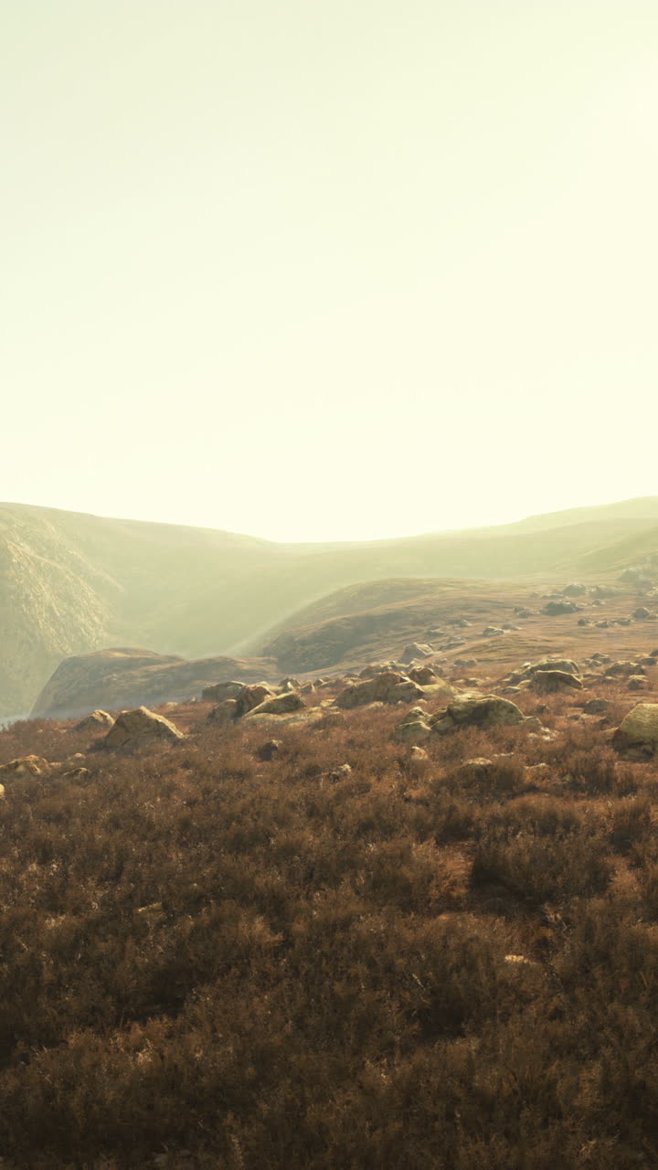 hermosa imagen de un paisaje rocoso y brumoso con algo de verdor