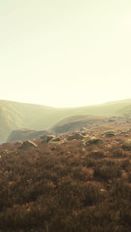 hermosa imagen de un paisaje rocoso y brumoso con algo de verdor