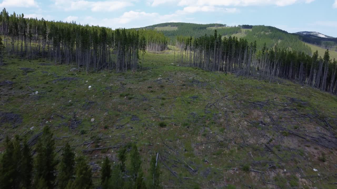 Deforested mountaintop in Kananaskis Area Alberta in Canada