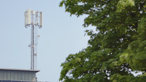 irónica toma de enfoque de rack desde el follaje verde natural de los árboles hasta el mástil de teléfono 5g hecho por el hombre