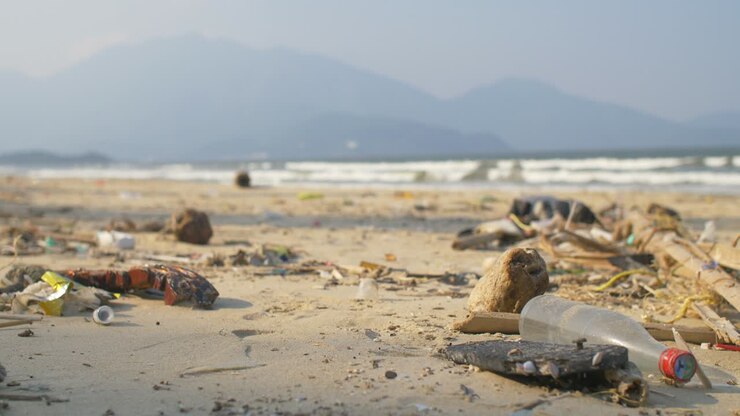 Rubbish on a Sandy Beach