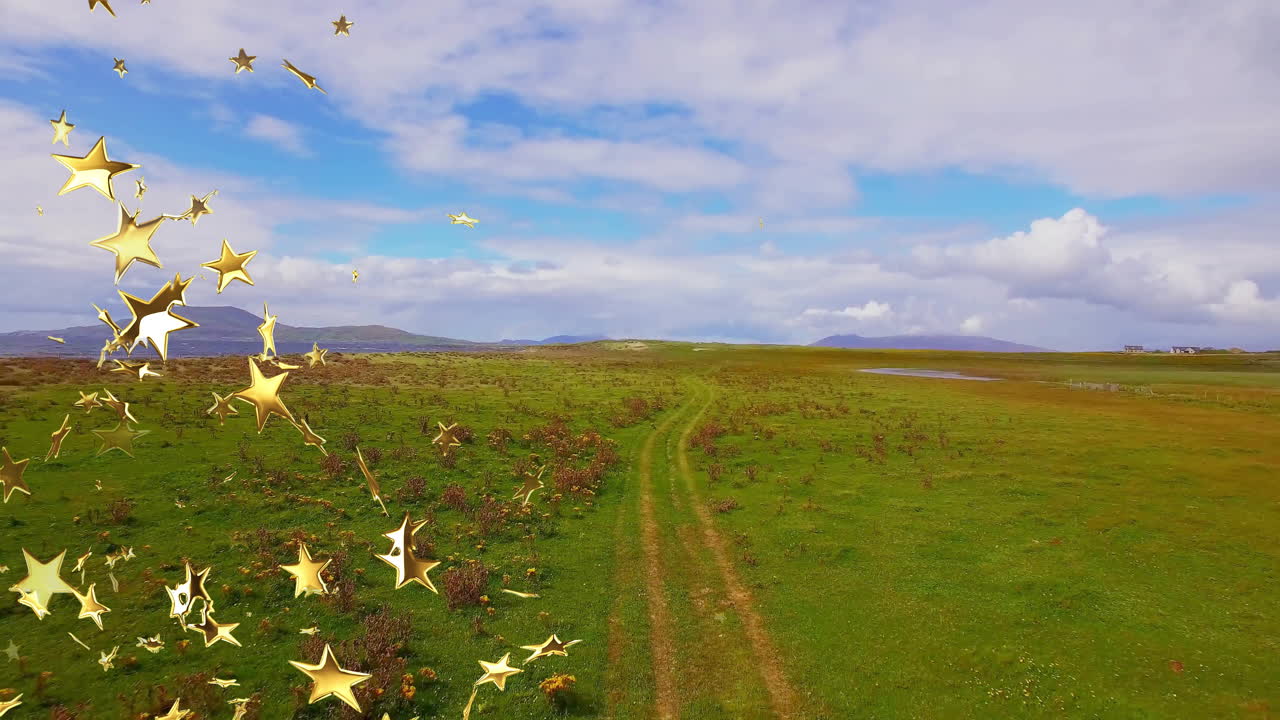 Flat design dirt track winding through grassy plain, dotted with wildflowers, puddles, golden stars