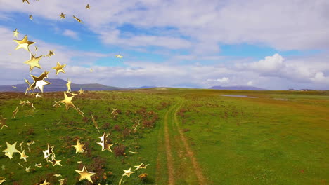 flat design dirt track winding through grassy plain, dotted with wildflowers, puddles, golden stars