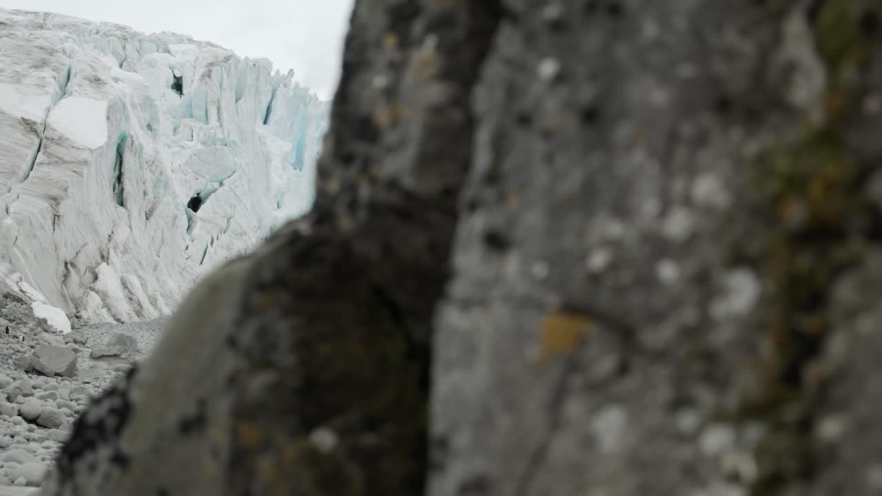 빙하와 함께 극의 해안선을 보여주는 바위 뒤에서 촬영된 짐발을 드러 ⁇ 니다.