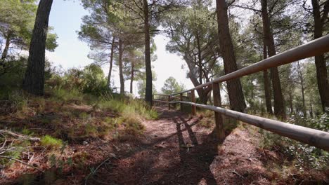 Senderismo-En-Un-Sendero-Mediterráneo-Español-Con-Pinos