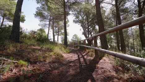 senderismo en un sendero mediterráneo español con pinos