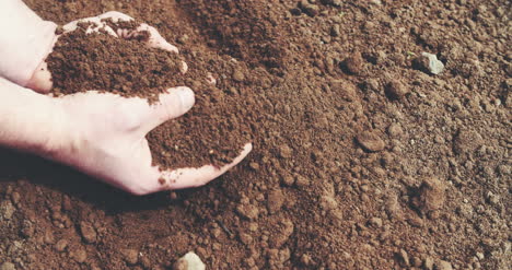 farmer holding soil in hands field