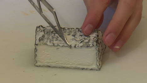 cutting a piece of cheese