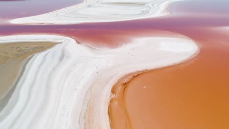 aerial view of a pink salt lake