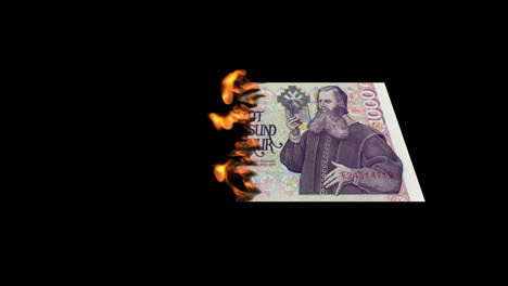la quema de un billete de 1.000 coronas