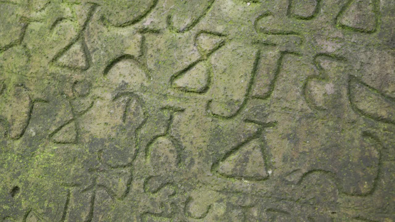 Close-up of ancient Sundanese script carved on mossy stone, historical and mysterious
