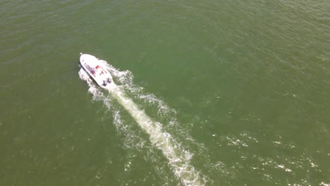 a dual outboard engine sport fishing boat makes its way out to sea for a productive day on the water