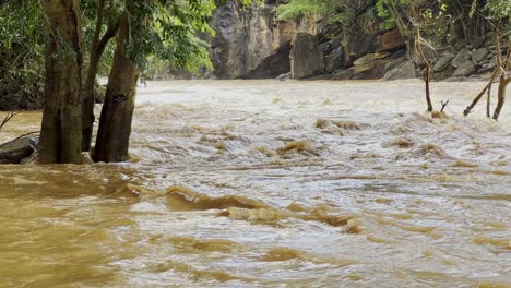 muddy water of river flowing through the flooded tree in thailand