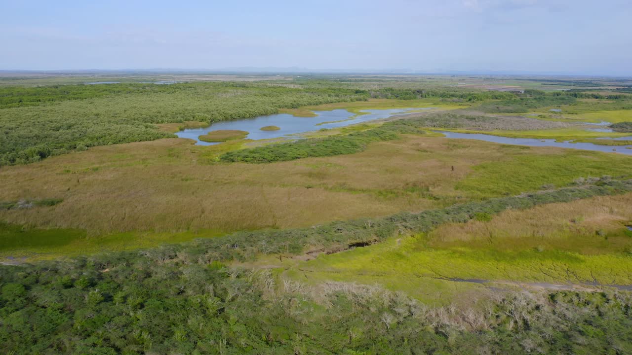 Sobrevoo aéreo do verde Parque Nacional Manglares de Estero Balsa durante um dia ensolarado de verão, República Dominicana - Bela paisagem com zona húmida e pequenos lagos na natureza selvagem