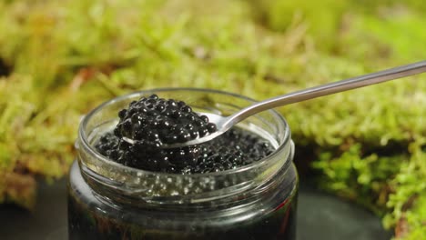 black caviar in a glass jar