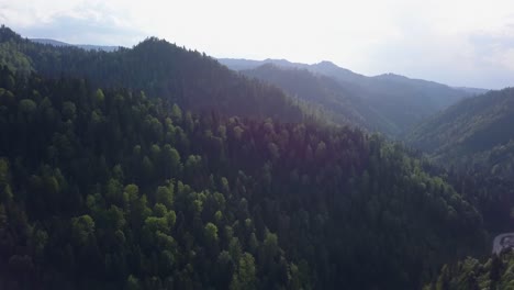 Langsamer-Abwärtsschwenk-Der-Luft-Auf-Die-Spitze-Des-Tals-Mit-Bäumen-Und-Bergen-Im-Hintergrund