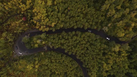 Autos-Fahren-über-Eine-Schwarze-Asphaltstraße-Zwischen-Herbstlich-Gefärbten-Bäumen