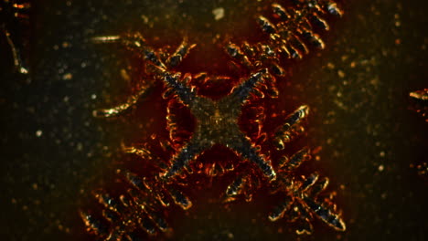 microscopic view of a crystalline or dendritic structure