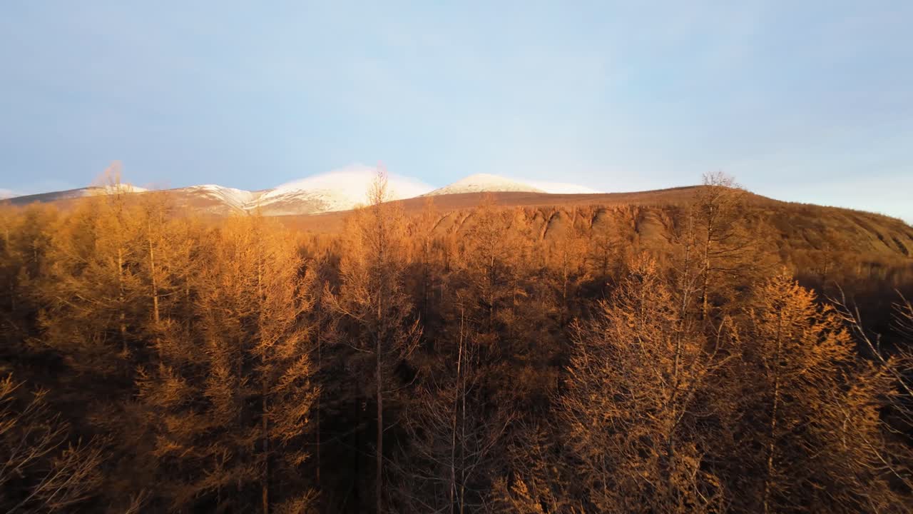 Alba mozzafiato su montagne innevate e foresta dorata