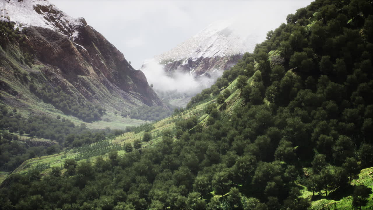 alta montaña por la mañana